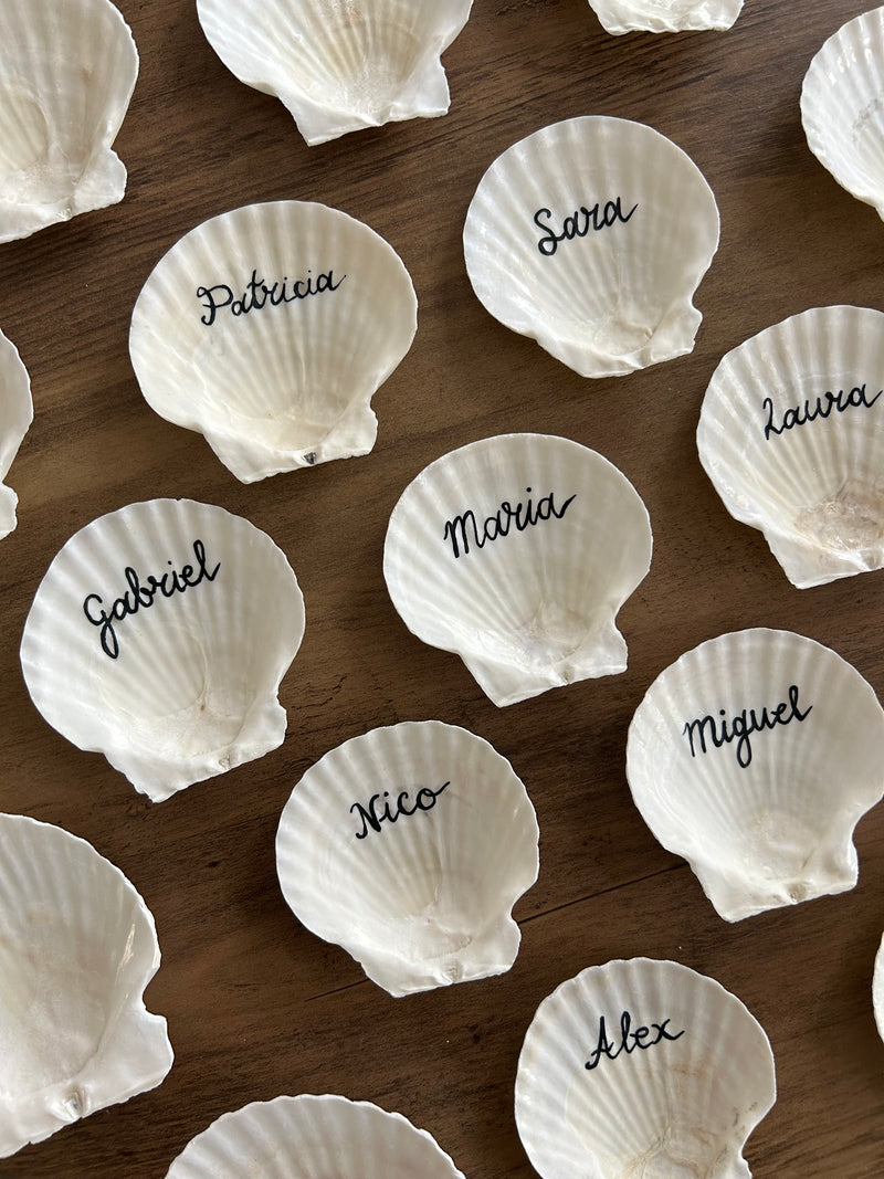 White shells with names written on them arranged on a wooden surface