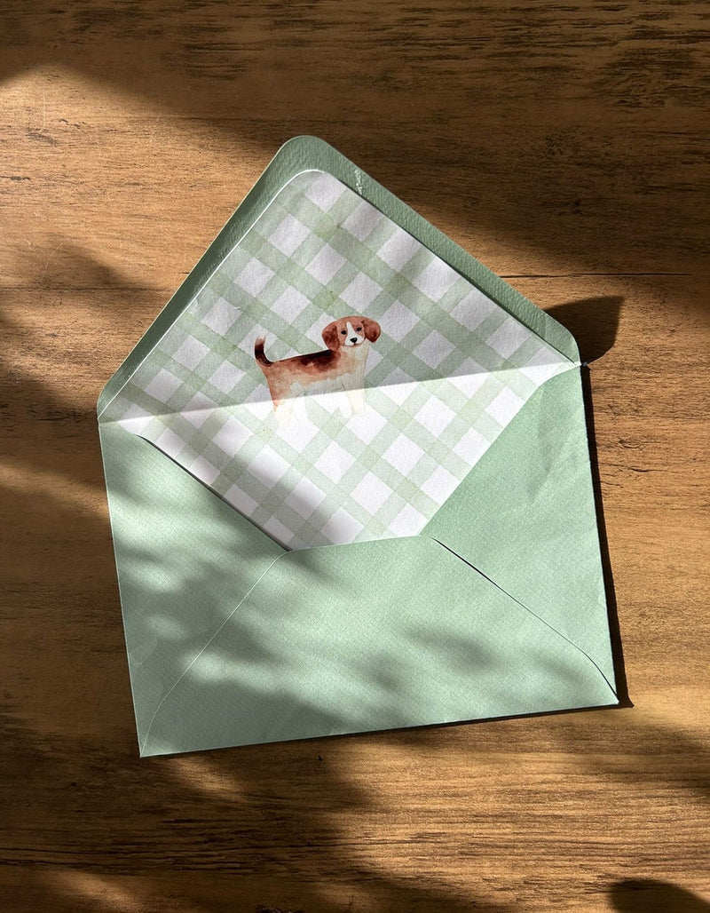 Green envelope with a dog illustration on a checkered lining, placed on a wooden surface.